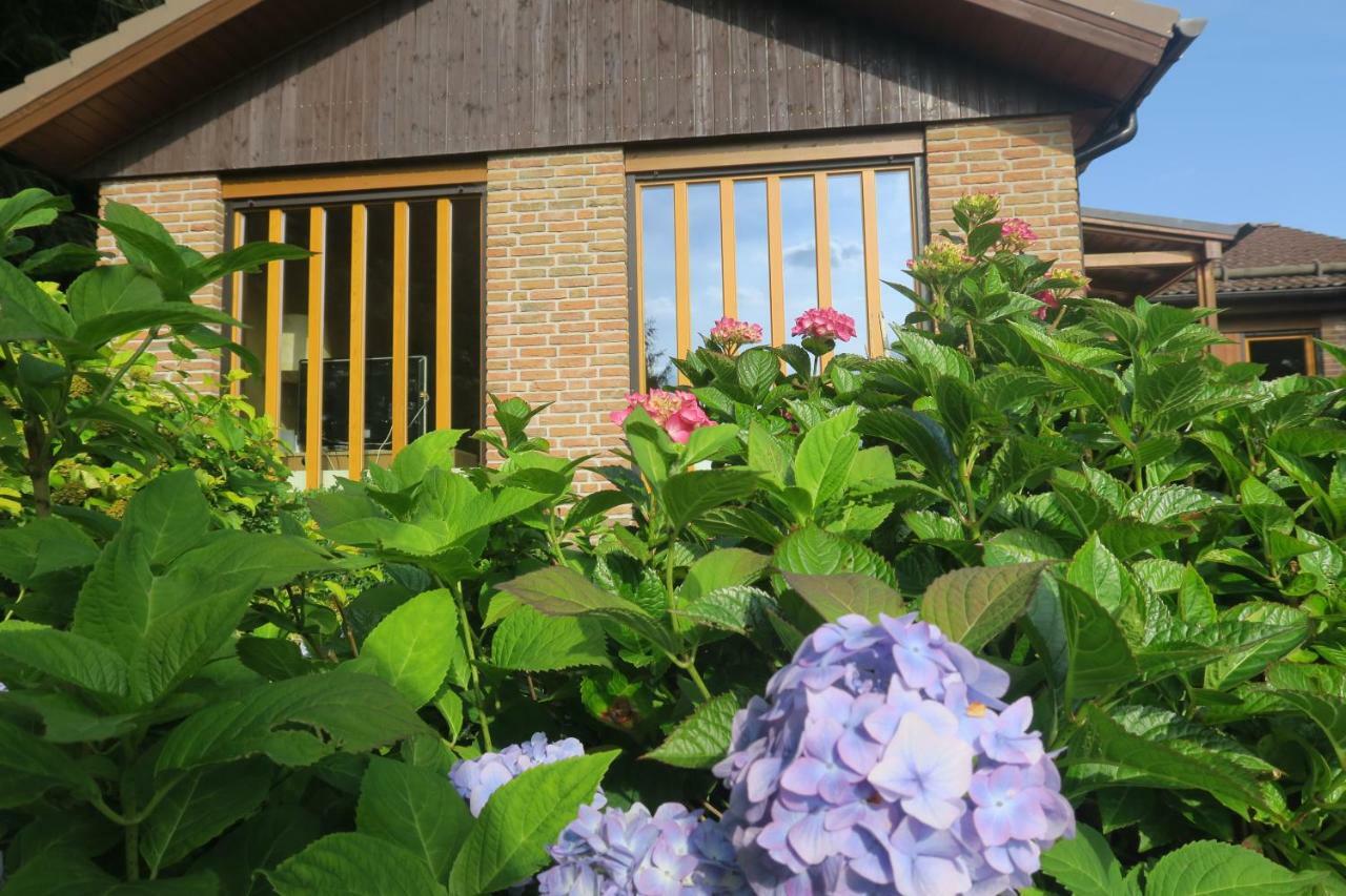 Ferienhaus Sonne, Harz Und Sterne Villa Hohegeiß Exterior foto